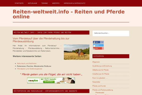 Magazine Pro theme site design template sample