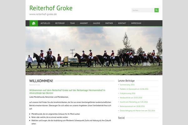 MineZine theme site design template sample