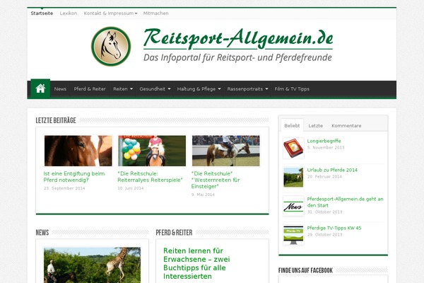 Sahifa theme theme site design template sample