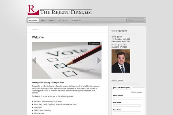 TheProfessional theme site design template sample