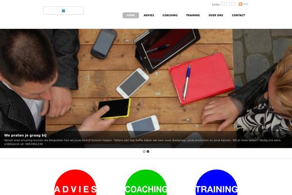 Bizco theme site design template sample