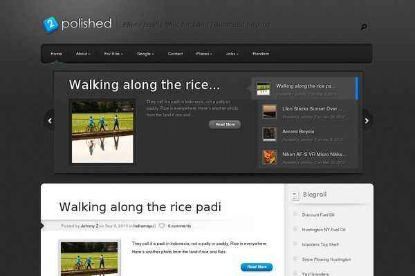 Polished theme site design template sample