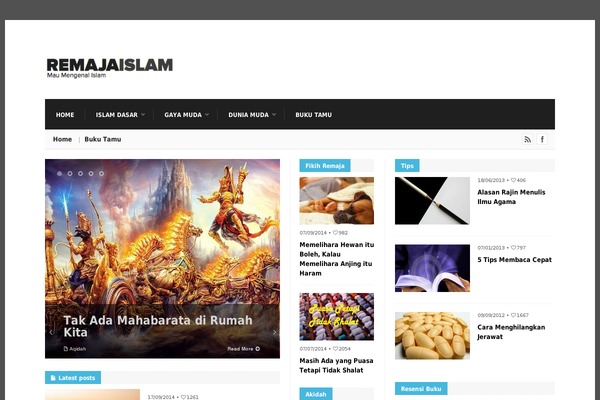 Site using Wp-slimstat-x plugin