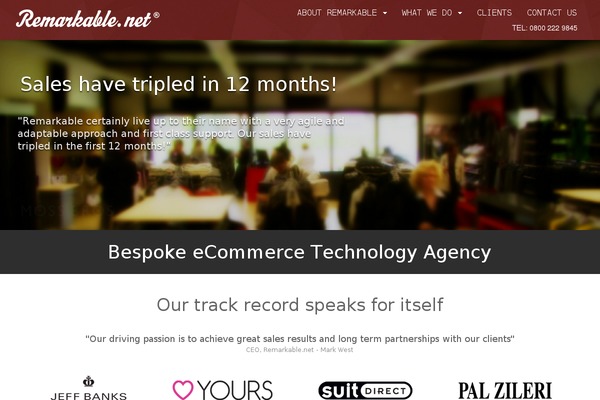 remarkable theme websites examples