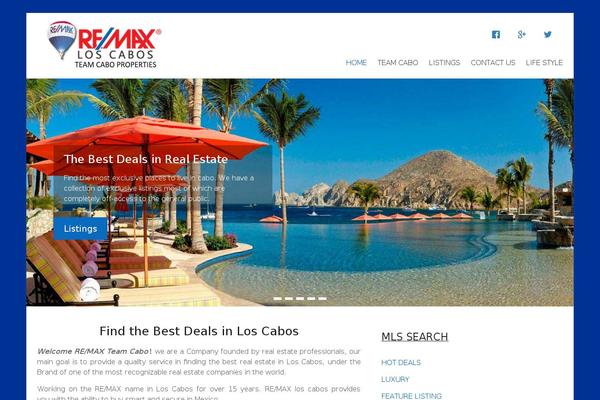 Site using WP Social Widget plugin