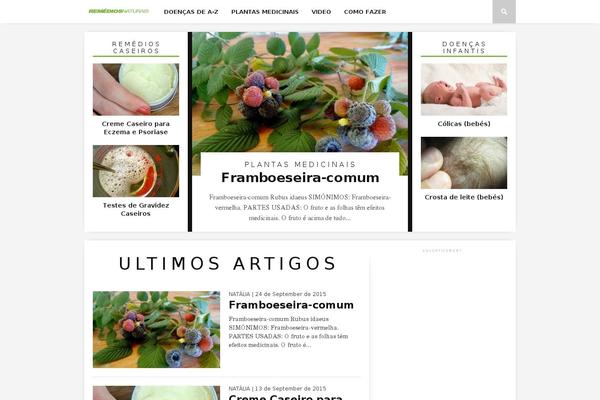 Braxton theme site design template sample