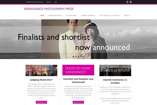 Minamaze theme site design template sample