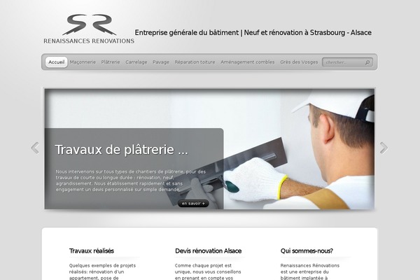 TheProfessional theme site design template sample