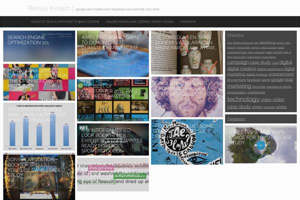 renaykeskin.com site used Destin Basic