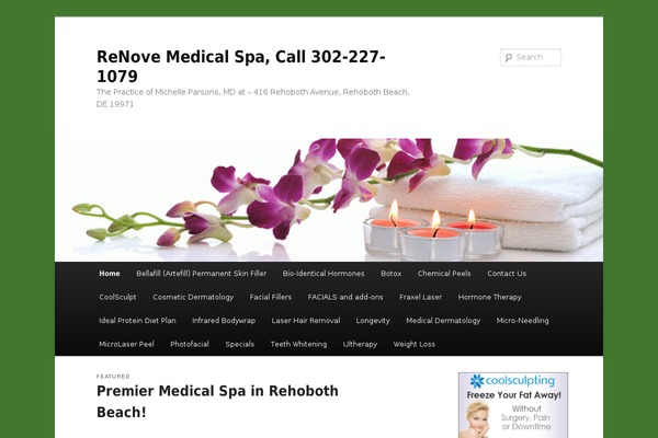 Twenty Eleven theme site design template sample
