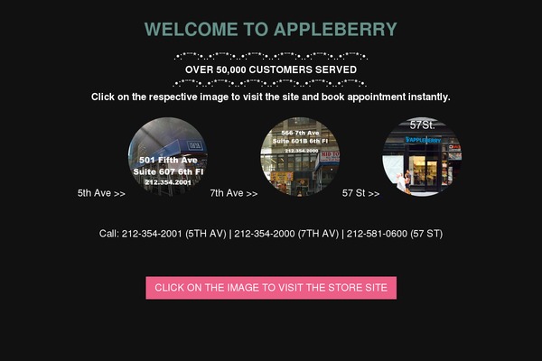 Thedeveloper theme site design template sample