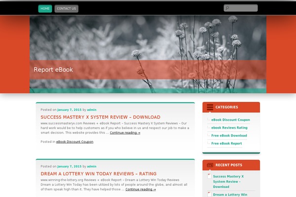 reportebook.com site used Wallpapered