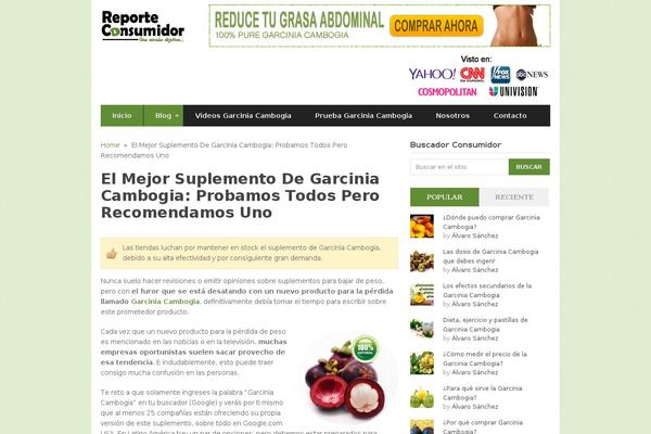 Report theme site design template sample