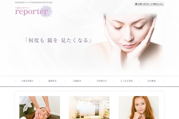 Reporter theme site design template sample