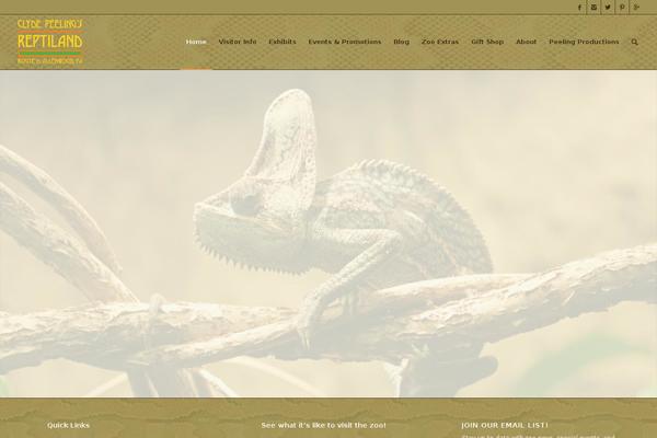 Site using Recent Posts Widget With Thumbnails plugin