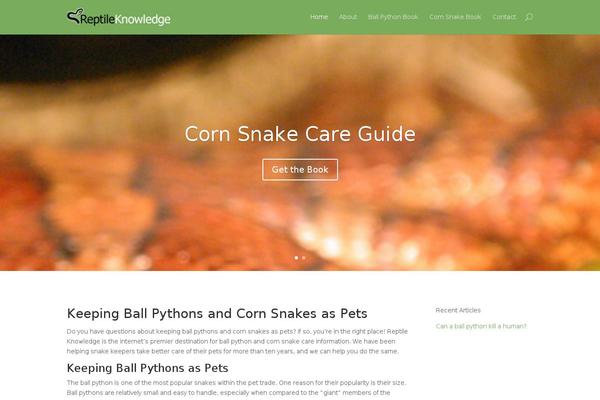 Sparkling theme site design template sample