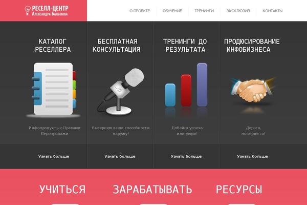 theme47528 theme websites examples