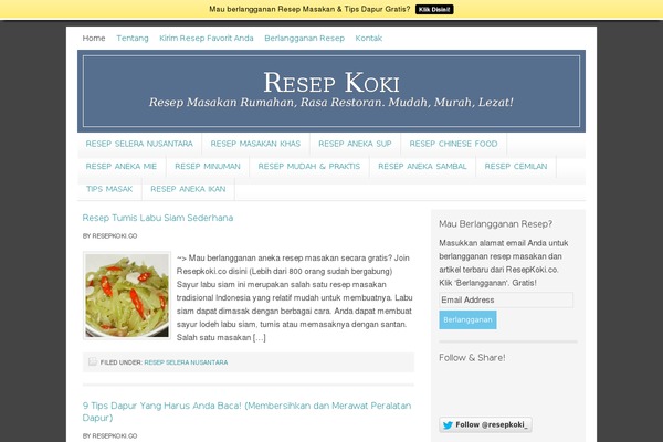 Rise theme site design template sample
