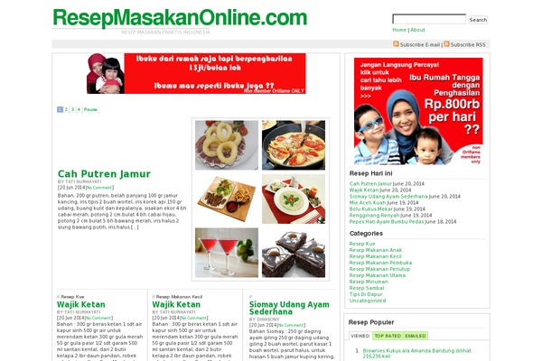 Linoluna theme websites examples