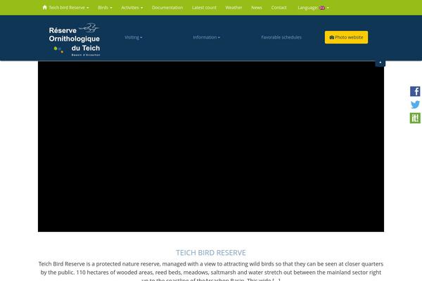 Html5blank-master theme site design template sample