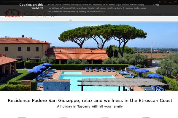 Celestino theme site design template sample