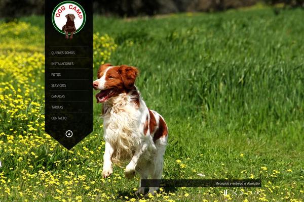 King Size theme site design template sample