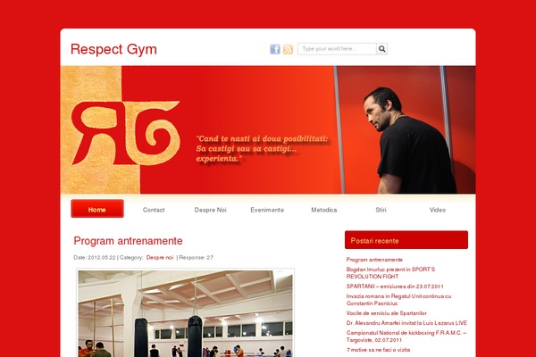 China Red theme site design template sample