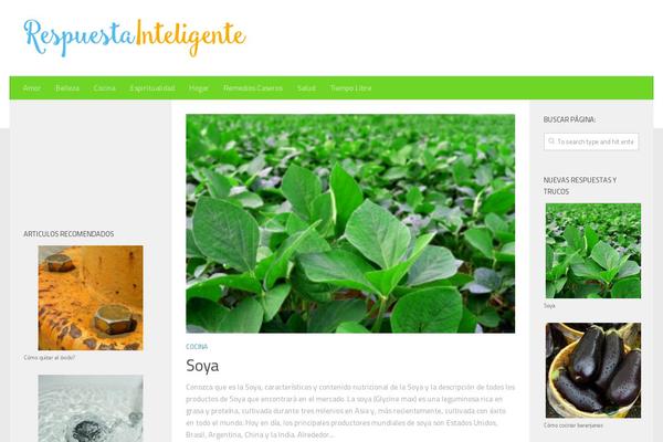Being Hueman theme site design template sample