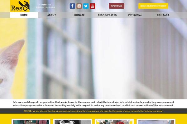 Pet-rescue theme site design template sample