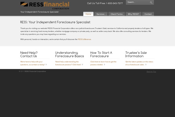 PureVISION theme site design template sample