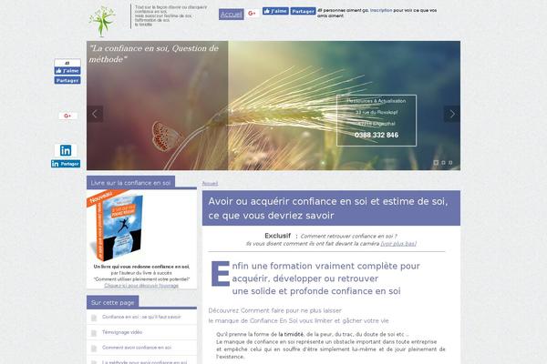 Site using Open Graph WP implementation plugin