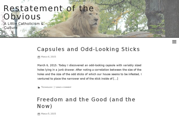 Salient theme site design template sample