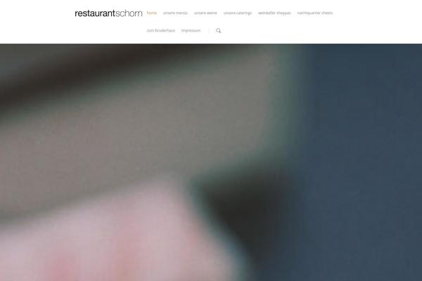 Salient theme site design template sample