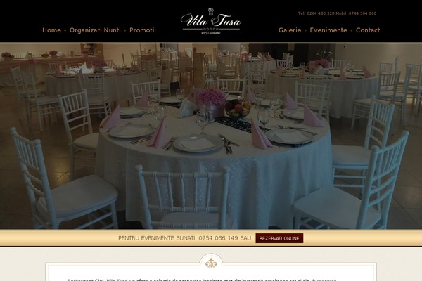 Elegantia Theme theme site design template sample