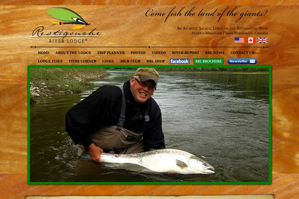 Black Lucas theme site design template sample