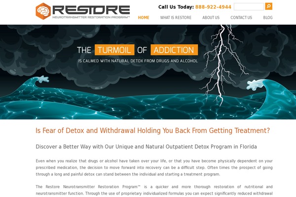 restoredetoxprogram.com site used Twentytwelve-boilerplate