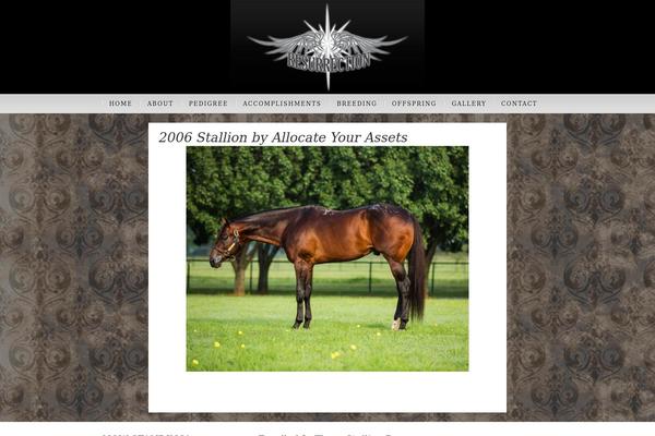Infinity-pro theme site design template sample