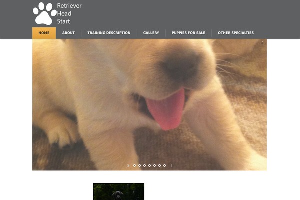Pet-rescue theme site design template sample