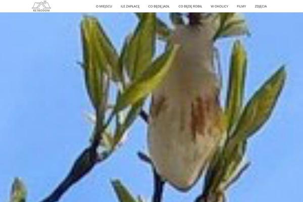 Site using Photoswipe Masonry Gallery plugin