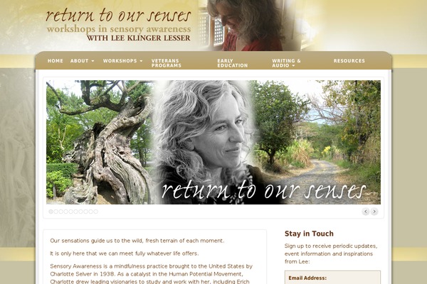 Alyeska theme site design template sample