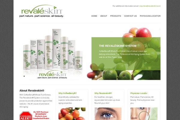Solid Wp theme site design template sample