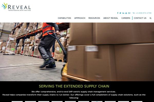 Reveal theme site design template sample