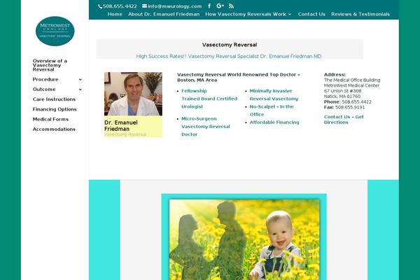Site using Better WordPress Minify plugin