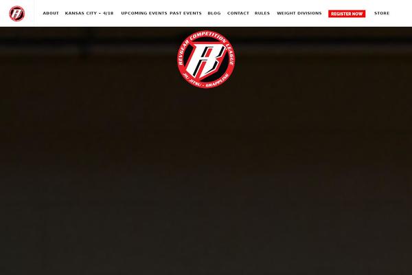 Willow theme site design template sample