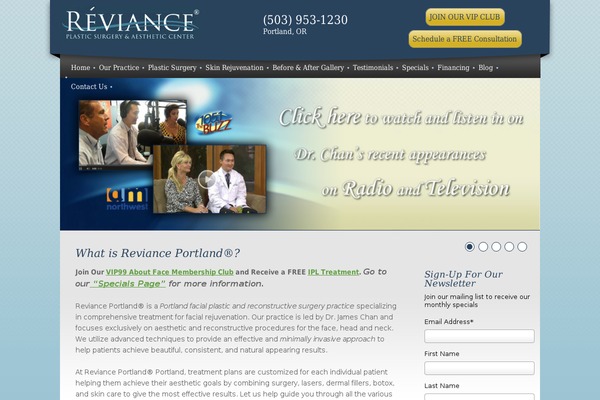 Thesis 1.8.4 theme site design template sample
