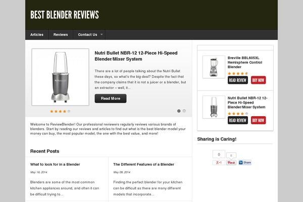 Affiliatereviewplus theme site design template sample