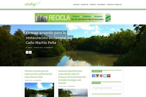 Viewport theme site design template sample