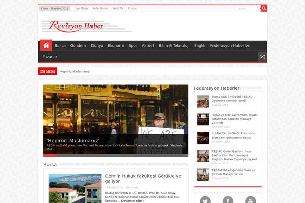 Sahifa theme site design template sample