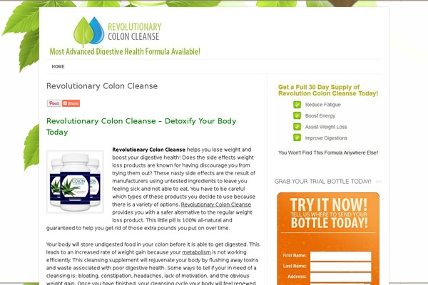 Leaf_1 theme site design template sample