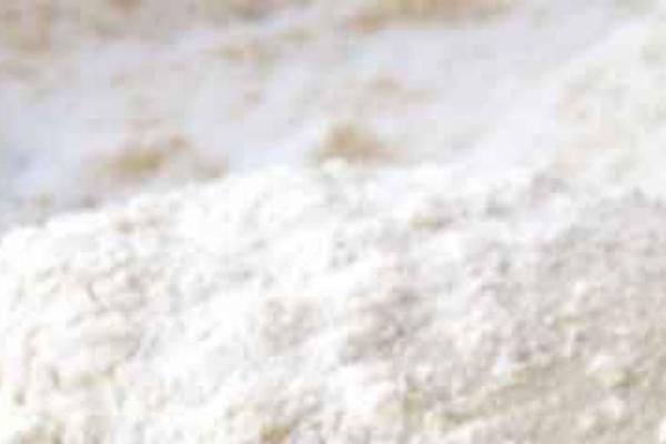 Café Pro theme site design template sample